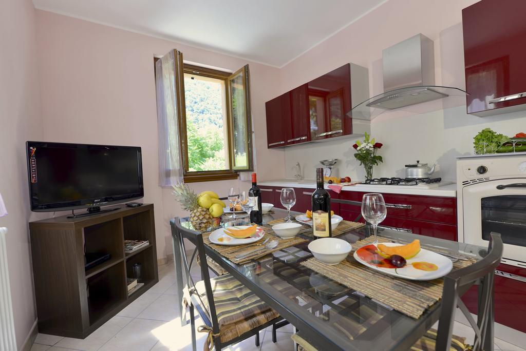 LarioView Suite