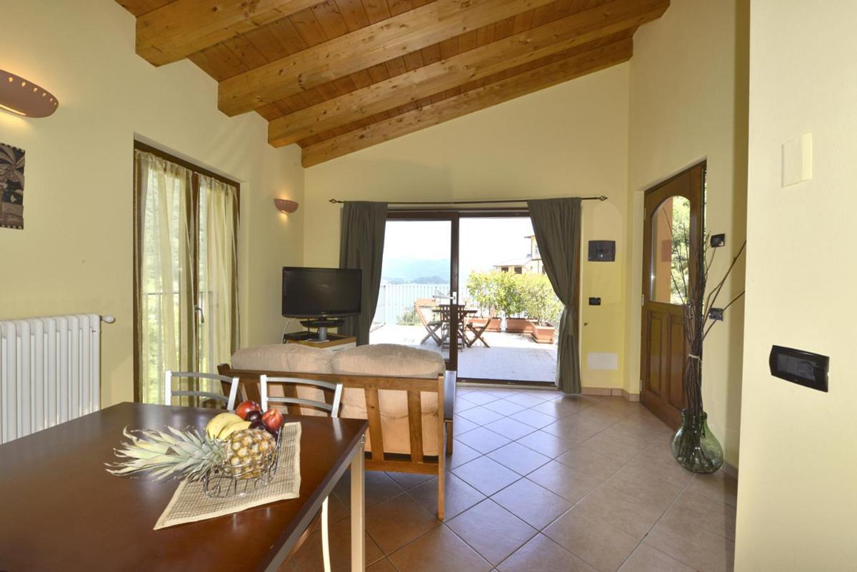 LarioView Suite