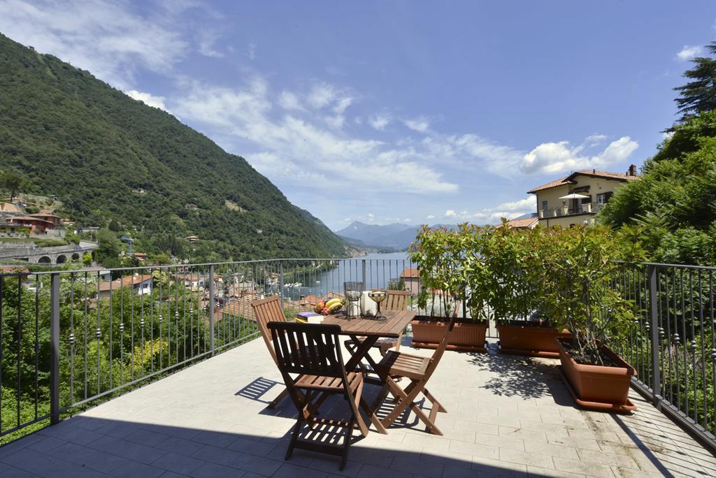 LarioView Suite