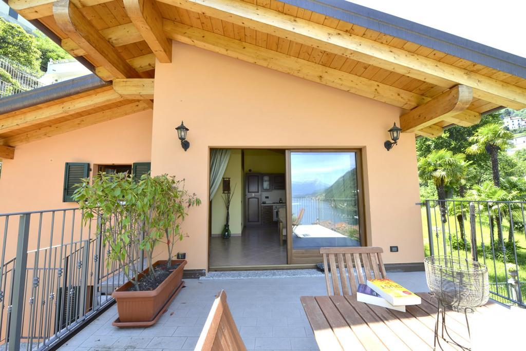 LarioView Suite