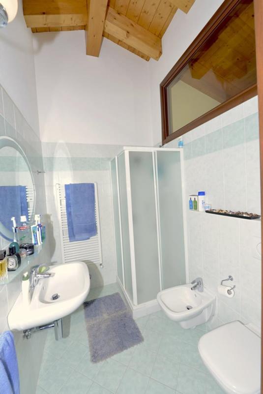 LarioView Suite