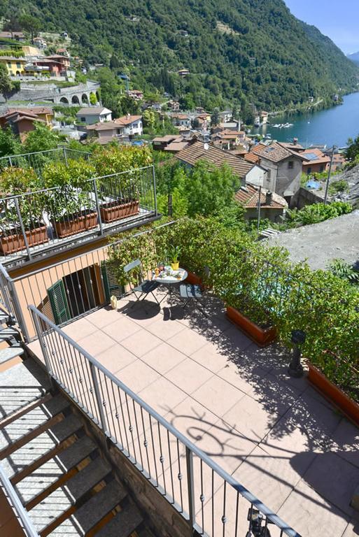LarioView Suite