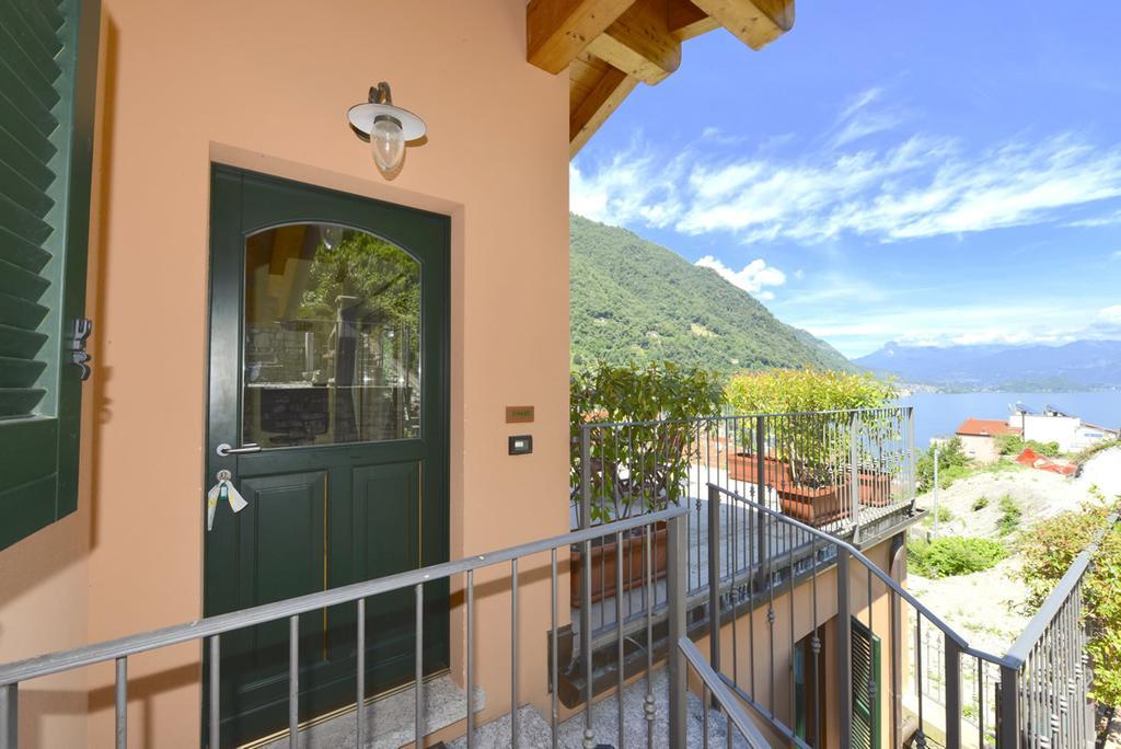 LarioView Suite